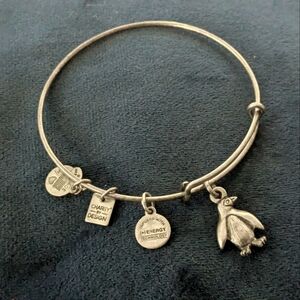 Alex and Ani Silver Charm Bracelet